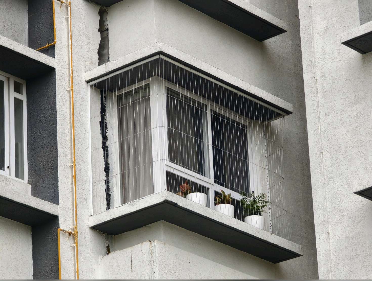 Apartment building window with fine protective cables — real YPL work shown for Mount Road customers